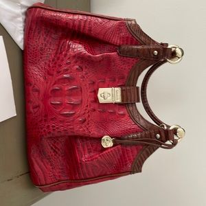 Brahmin Elisa - Chutney Vernon